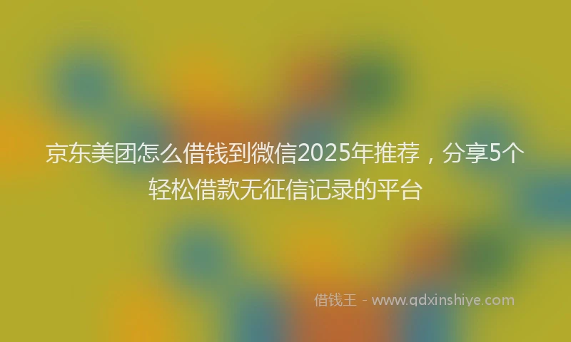 京东美团怎么借钱到微信2025年推荐，分享5个轻松借款无征信记录的平台