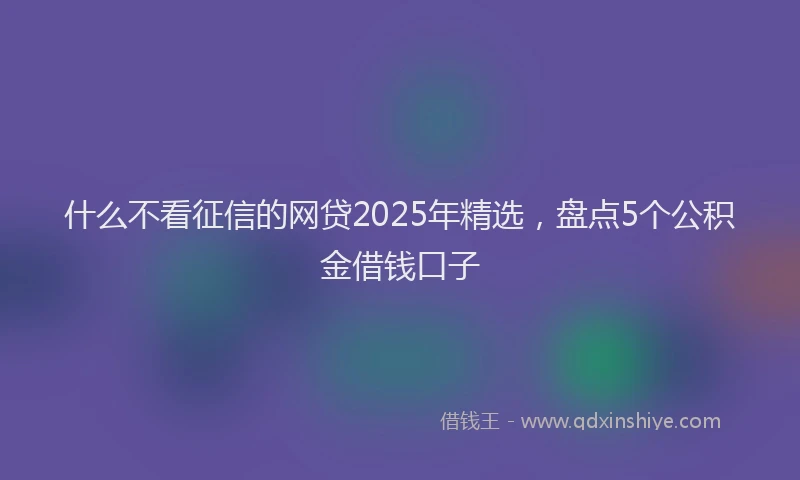 什么不看征信的网贷2025年精选，盘点5个公积金借钱口子