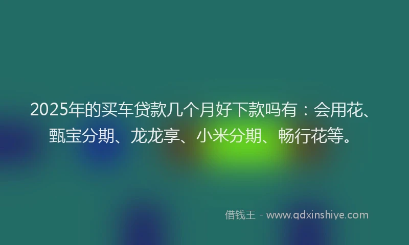 2025年的买车贷款几个月好下款吗有：会用花、甄宝分期、龙龙享、小米分期、畅行花等。