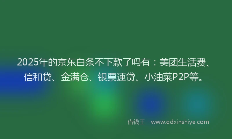 2025年的京东白条不下款了吗有：美团生活费、信和贷、金满仓、银票速贷、小油菜P2P等。