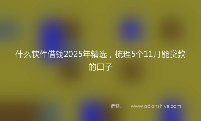 什么软件借钱2025年精选，梳理5个11月能贷款的口子
