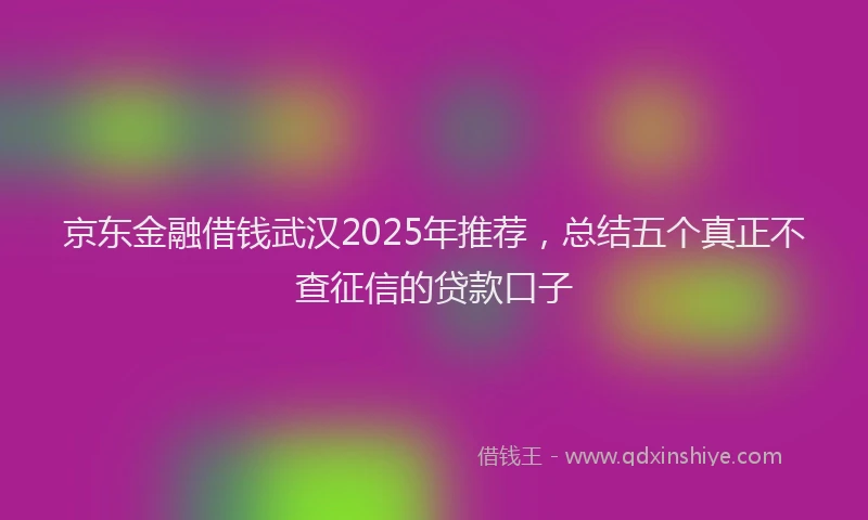 京东金融借钱武汉2025年推荐，总结五个真正不查征信的贷款口子