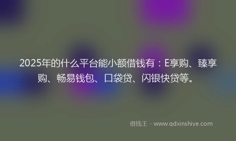 2025年的什么平台能小额借钱有：E享购、臻享购、畅易钱包、口袋贷、闪银快贷等。