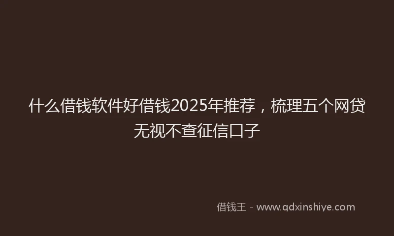 什么借钱软件好借钱2025年推荐，梳理五个网贷无视不查征信口子