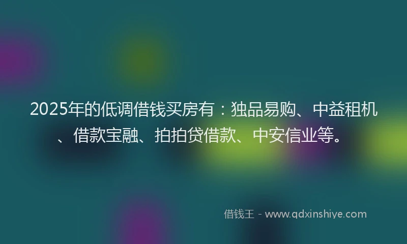 2025年的低调借钱买房有：独品易购、中益租机、借款宝融、拍拍贷借款、中安信业等。