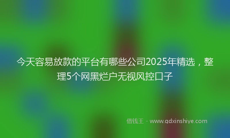 今天容易放款的平台有哪些公司2025年精选，整理5个网黑烂户无视风控口子