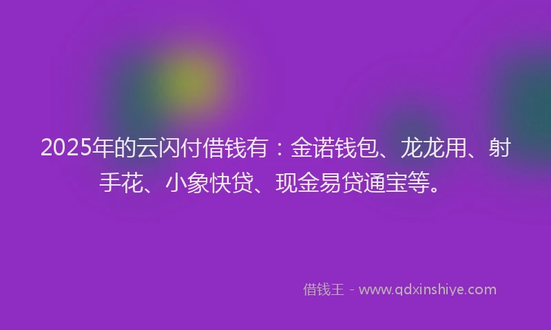 2025年的云闪付借钱有：金诺钱包、龙龙用、射手花、小象快贷、现金易贷通宝等。