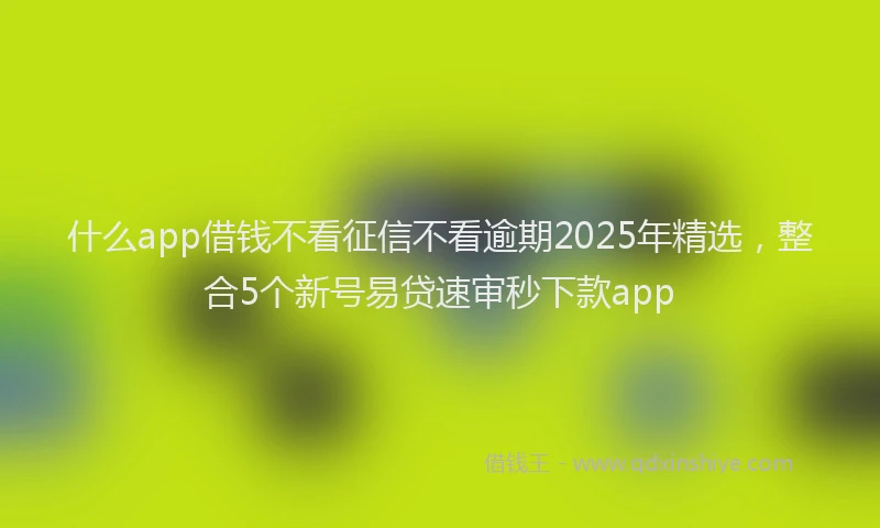 什么app借钱不看征信不看逾期2025年精选,整合5个新号易贷速审秒下款app