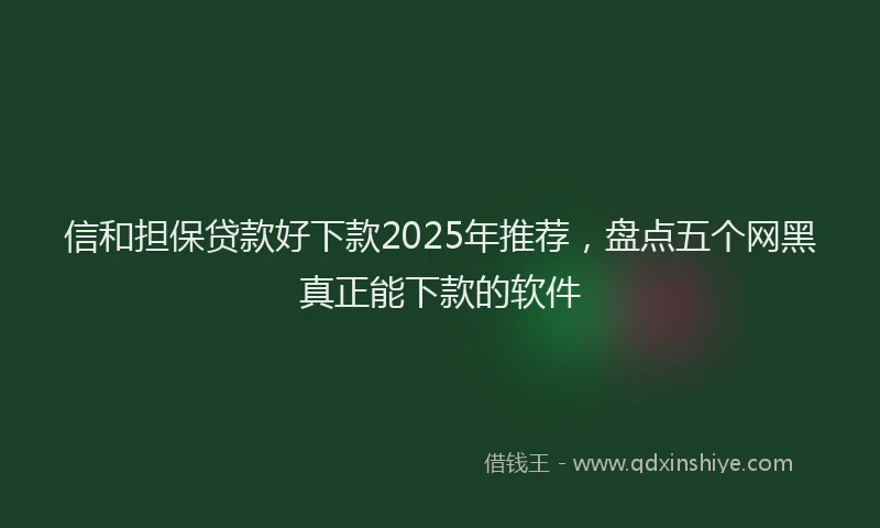 信和担保贷款好下款2025年推荐，盘点五个网黑真正能下款的软件