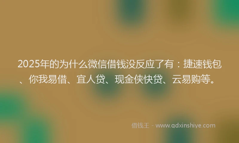 2025年的为什么微信借钱没反应了有：捷速钱包、你我易借、宜人贷、现金侠快贷、云易购等。