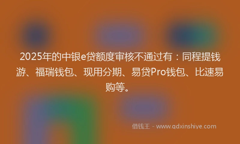 2025年的中银e贷额度审核不通过有：同程提钱游、福瑞钱包、现用分期、易贷Pro钱包、比速易购等。