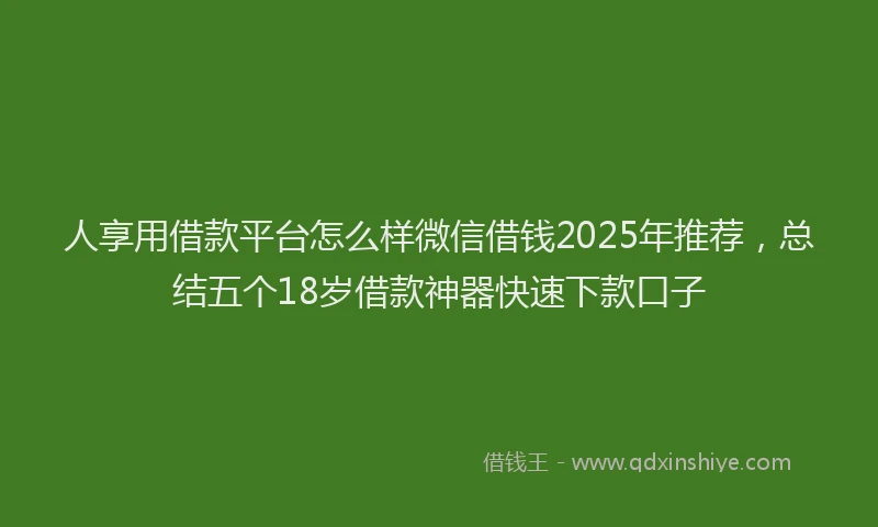 人享用借款平台怎么样微信借钱2025年推荐，总结五个18岁借款神器快速下款口子