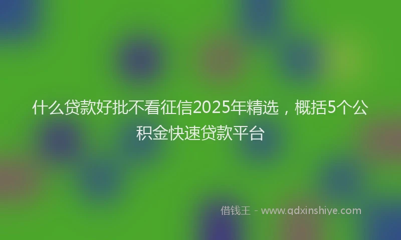 什么贷款好批不看征信2025年精选，概括5个公积金快速贷款平台