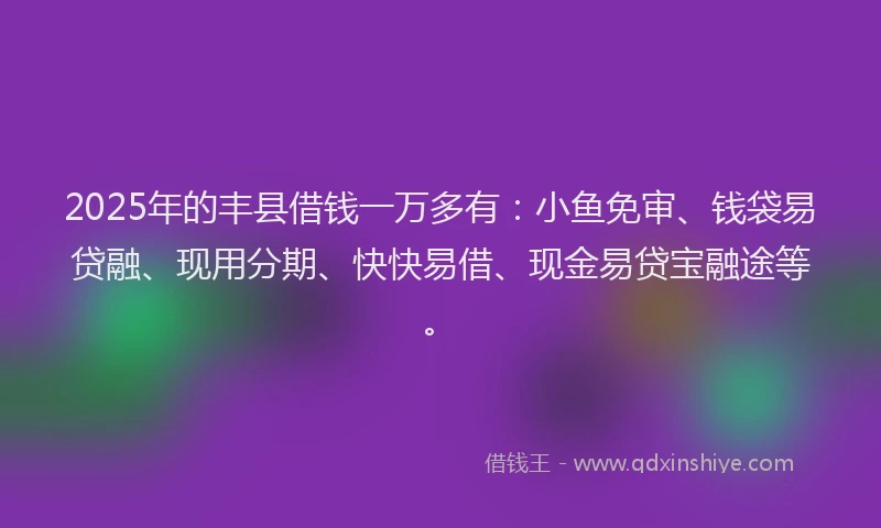 2025年的丰县借钱一万多有：小鱼免审、钱袋易贷融、现用分期、快快易借、现金易贷宝融途等。
