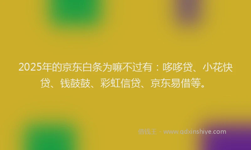 2025年的京东白条为嘛不过有：哆哆贷、小花快贷、钱鼓鼓、彩虹信贷、京东易借等。