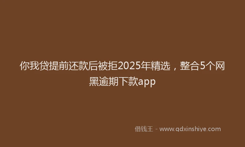 你我贷提前还款后被拒2025年精选，整合5个网黑逾期下款app