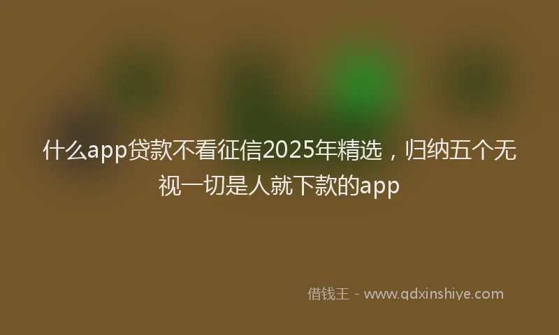 什么app贷款不看征信2025年精选,归纳五个无视一切是人就下款的app