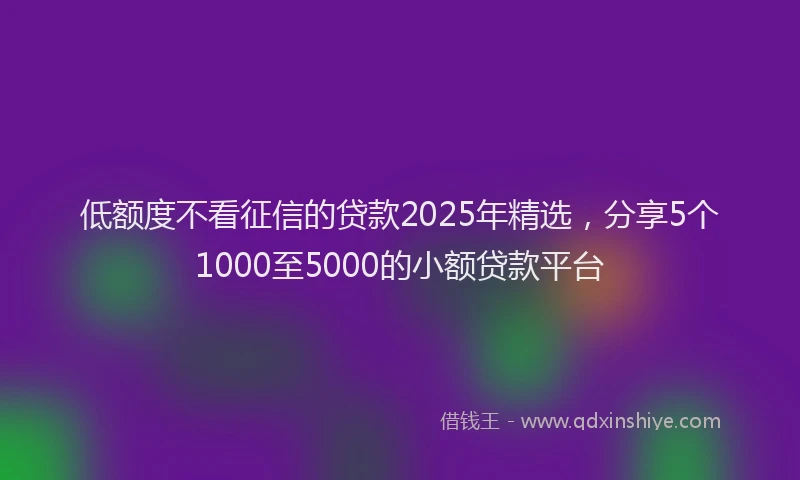 低额度不看征信的贷款2025年精选，分享5个1000至5000的小额贷款平台