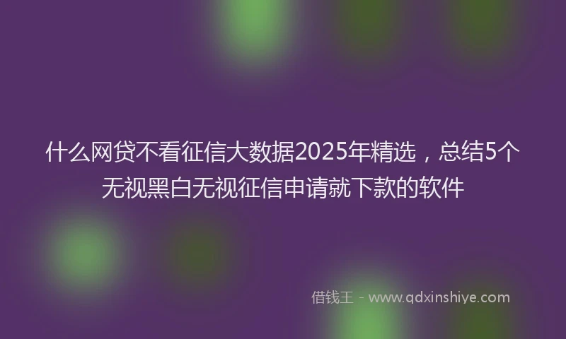 什么网贷不看征信大数据2025年精选,总结5个无视黑白无视征信申请就下款的软件