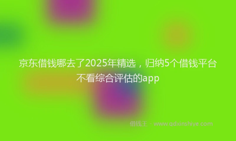 京东借钱哪去了2025年精选，归纳5个借钱平台不看综合评估的app