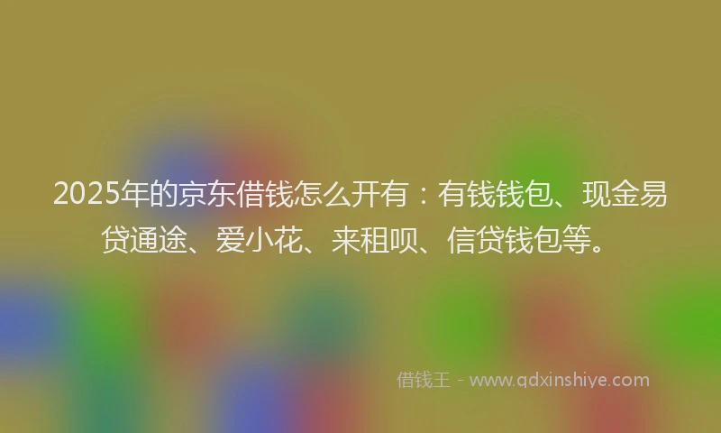 2025年的京东借钱怎么开有：有钱钱包、现金易贷通途、爱小花、来租呗、信贷钱包等。