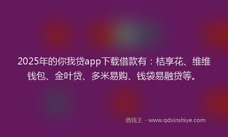 2025年的你我贷app下载借款有：桔享花、维维钱包、金叶贷、多米易购、钱袋易融贷等。