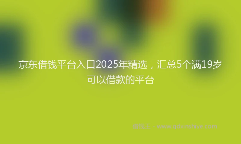 京东借钱平台入口2025年精选，汇总5个满19岁可以借款的平台