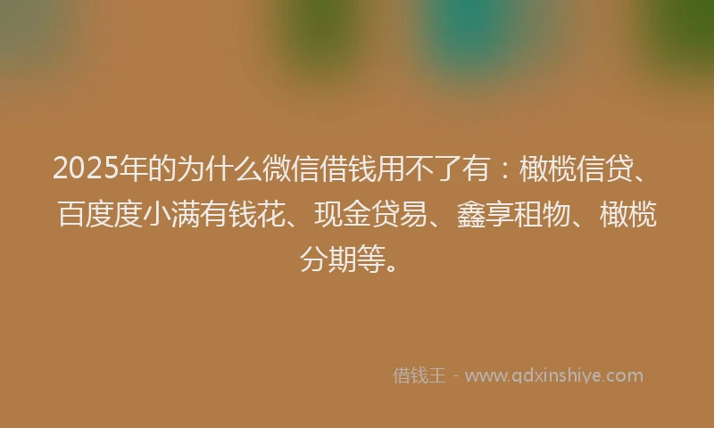 2025年的为什么微信借钱用不了有:橄榄信贷、百度度小满有钱花、现金贷易、鑫享租物、橄榄分期等。