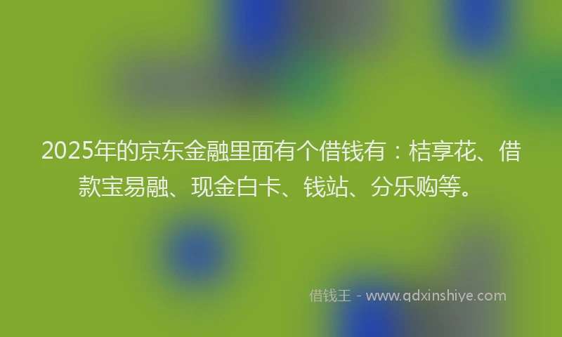 2025年的京东金融里面有个借钱有：桔享花、借款宝易融、现金白卡、钱站、分乐购等。