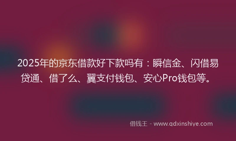 2025年的京东借款好下款吗有：瞬信金、闪借易贷通、借了么、翼支付钱包、安心Pro钱包等。