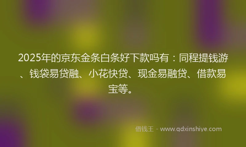 2025年的京东金条白条好下款吗有：同程提钱游、钱袋易贷融、小花快贷、现金易融贷、借款易宝等。