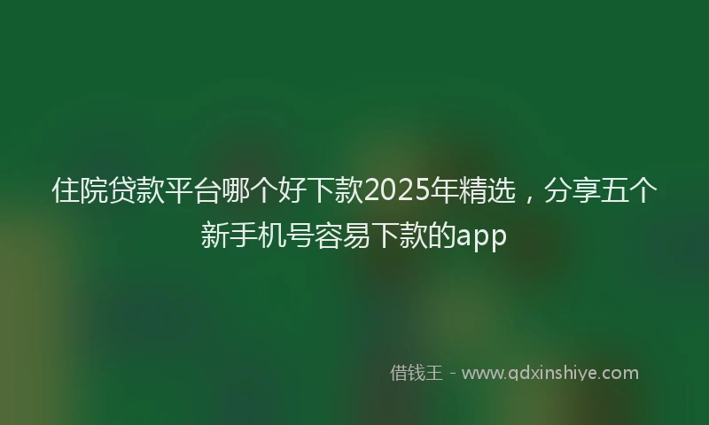 住院贷款平台哪个好下款2025年精选，分享五个新手机号容易下款的app