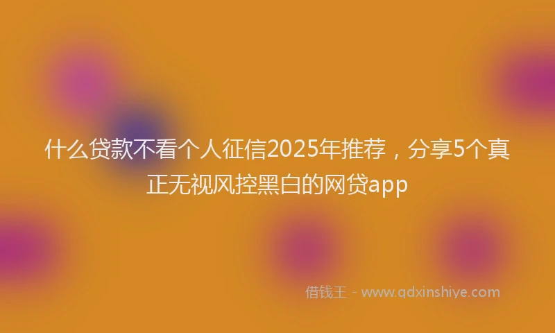 什么贷款不看个人征信2025年推荐，分享5个真正无视风控黑白的网贷app