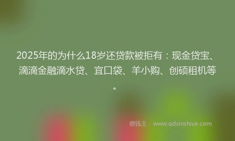 2025年的为什么18岁还贷款被拒有:现金贷宝、滴滴金融滴水贷、宜口袋、羊小购、创硕租机等。