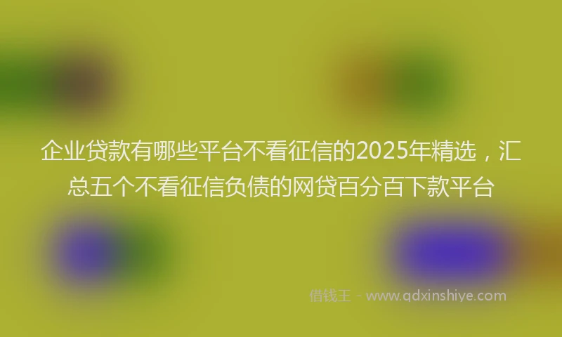 企业贷款有哪些平台不看征信的2025年精选，汇总五个不看征信负债的网贷百分百下款平台