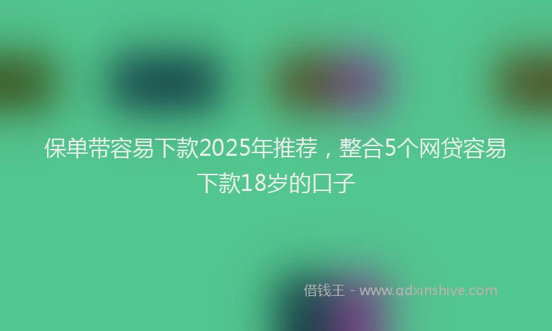 保单带容易下款2025年推荐，整合5个网贷容易下款18岁的口子