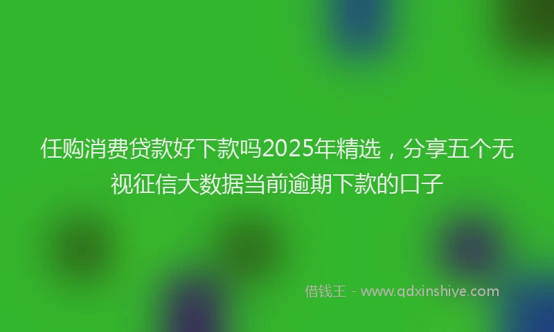 任购消费贷款好下款吗2025年精选，分享五个无视征信大数据当前逾期下款的口子