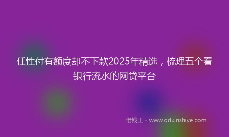 任性付有额度却不下款2025年精选,梳理五个看银行流水的网贷平台