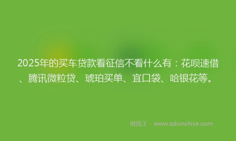 2025年的买车贷款看征信不看什么有：花呗速借、腾讯微粒贷、琥珀买单、宜口袋、哈银花等。