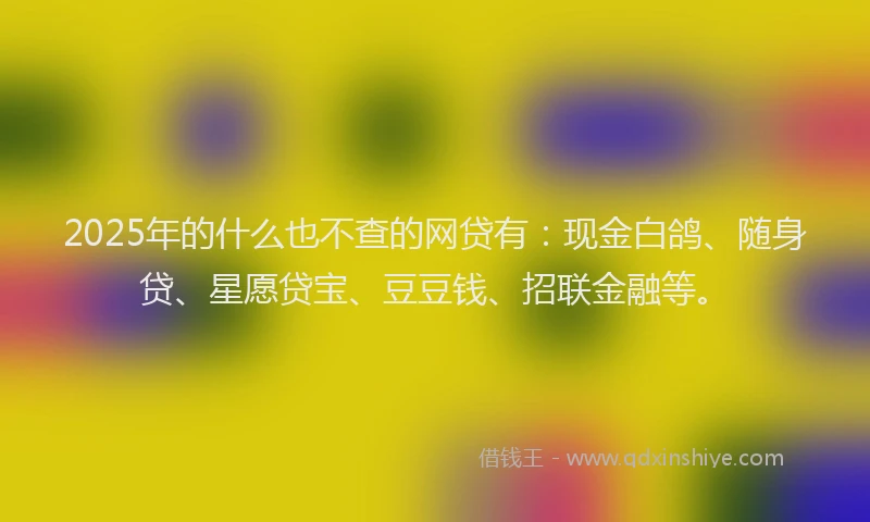 2025年的什么也不查的网贷有：现金白鸽、随身贷、星愿贷宝、豆豆钱、招联金融等。