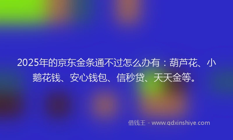 2025年的京东金条通不过怎么办有：葫芦花、小鹅花钱、安心钱包、信秒贷、天天金等。