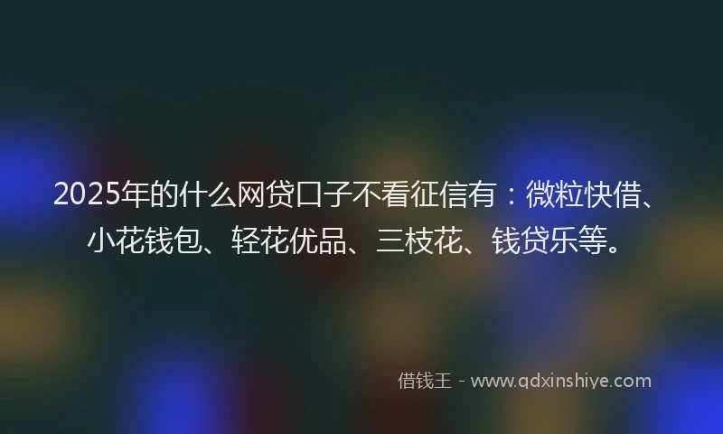 2025年的什么网贷口子不看征信有：微粒快借、小花钱包、轻花优品、三枝花、钱贷乐等。