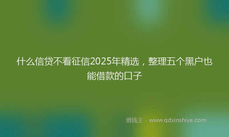什么信贷不看征信2025年精选,整理五个黑户也能借款的口子