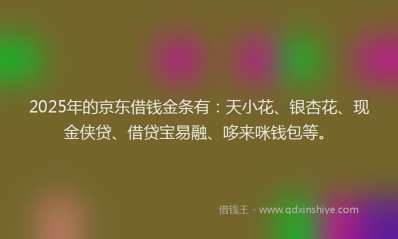 2025年的京东借钱金条有：天小花、银杏花、现金侠贷、借贷宝易融、哆来咪钱包等。