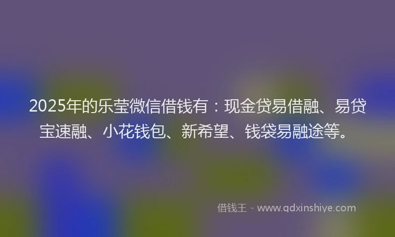 2025年的乐莹微信借钱有：现金贷易借融、易贷宝速融、小花钱包、新希望、钱袋易融途等。