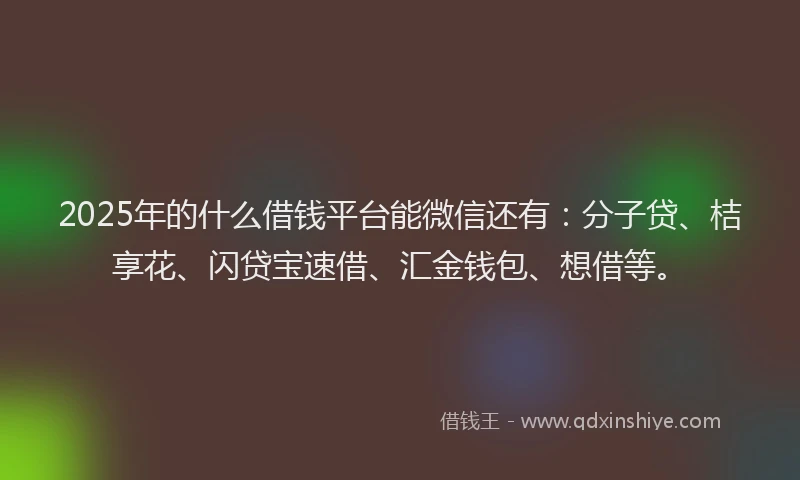 2025年的什么借钱平台能微信还有：分子贷、桔享花、闪贷宝速借、汇金钱包、想借等。