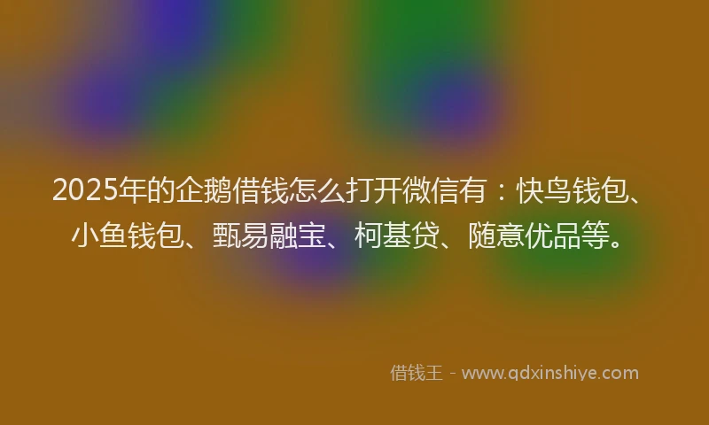 2025年的企鹅借钱怎么打开微信有：快鸟钱包、小鱼钱包、甄易融宝、柯基贷、随意优品等。