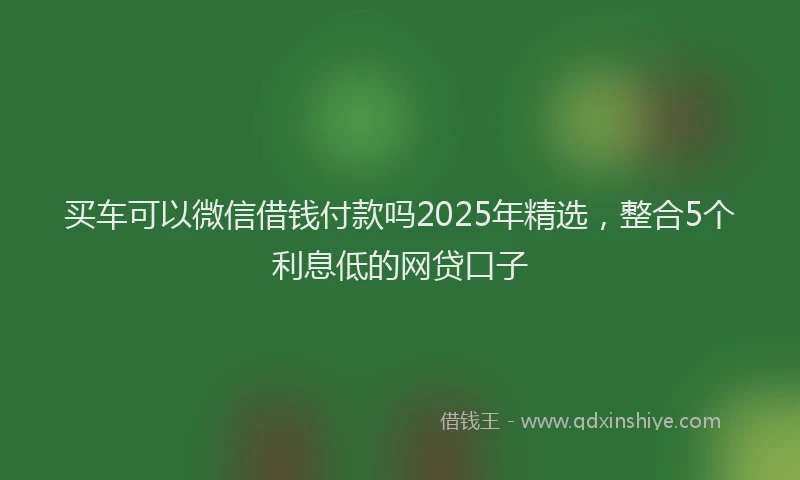 买车可以微信借钱付款吗2025年精选，整合5个利息低的网贷口子
