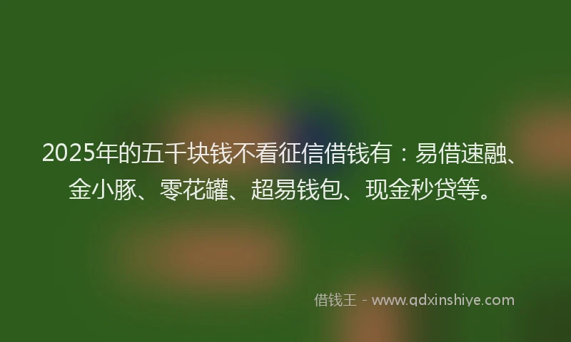 2025年的五千块钱不看征信借钱有：易借速融、金小豚、零花罐、超易钱包、现金秒贷等。