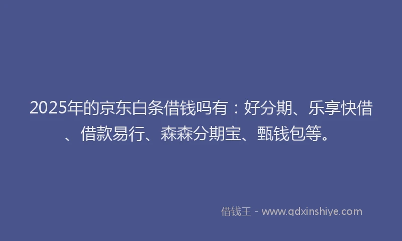 2025年的京东白条借钱吗有：好分期、乐享快借、借款易行、森森分期宝、甄钱包等。